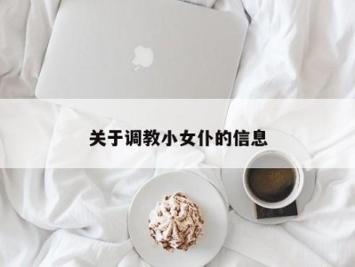 关于调教小女仆的信息