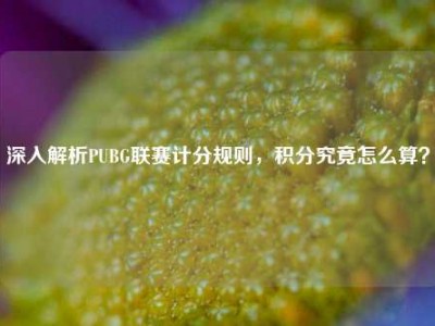 深入解析PUBG联赛计分规则，积分究竟怎么算？