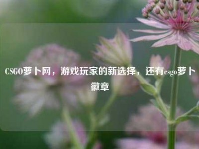 CSGO萝卜网，游戏玩家的新选择，还有csgo萝卜徽章