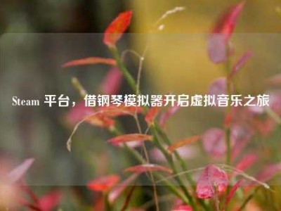 Steam 平台，借钢琴模拟器开启虚拟音乐之旅
