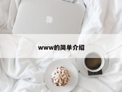 www的简单介绍