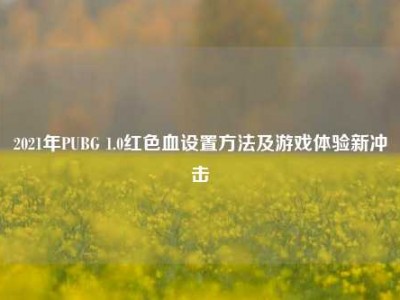 2021年PUBG 1.0红色血设置方法及游戏体验新冲击