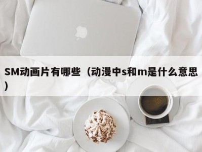 SM动画片有哪些（动漫中s和m是什么意思）