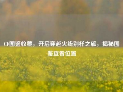 CF图鉴收藏，开启穿越火线别样之旅，揭秘图鉴查看位置