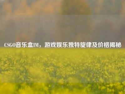 CSGO音乐盒IM，游戏娱乐独特旋律及价格揭秘