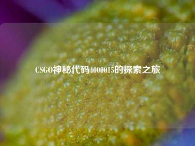 CSGO神秘代码4000015的探索之旅
