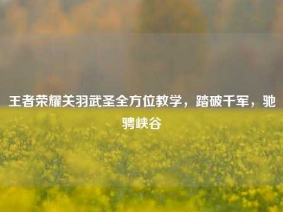 王者荣耀关羽武圣全方位教学，踏破千军，驰骋峡谷