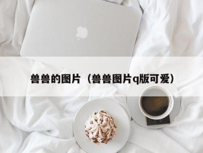 兽兽的图片（兽兽图片q版可爱）