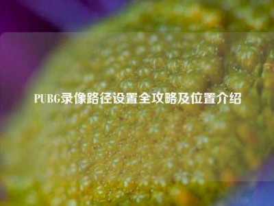 PUBG录像路径设置全攻略及位置介绍