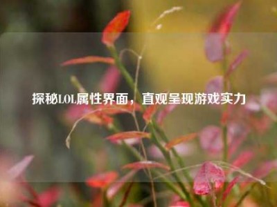 探秘LOL属性界面，直观呈现游戏实力