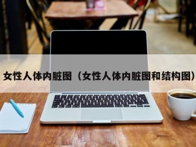 女性人体内脏图（女性人体内脏图和结构图）