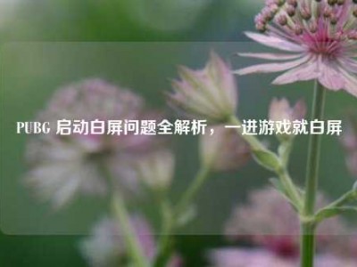 PUBG 启动白屏问题全解析，一进游戏就白屏