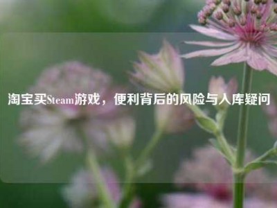 淘宝买Steam游戏，便利背后的风险与入库疑问