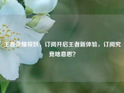 王者荣耀筱妖，订阅开启王者新体验，订阅究竟啥意思？