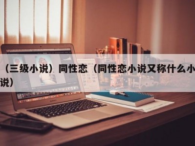 （三级小说）同性恋（同性恋小说又称什么小说）