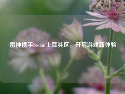 雷神携手Steam土耳其区，开启游戏新体验