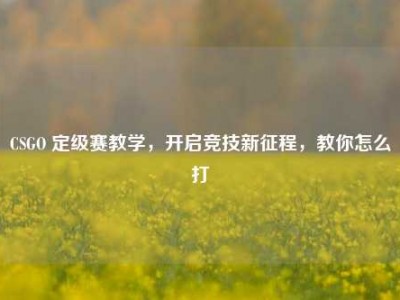 CSGO 定级赛教学，开启竞技新征程，教你怎么打