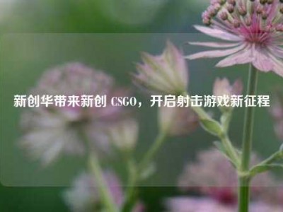 新创华带来新创 CSGO，开启射击游戏新征程