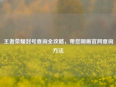 王者荣耀封号查询全攻略，带您明晰官网查询     