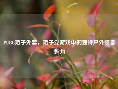 PUBG矮子外套，矮子党游戏中的独特户外装备魅力