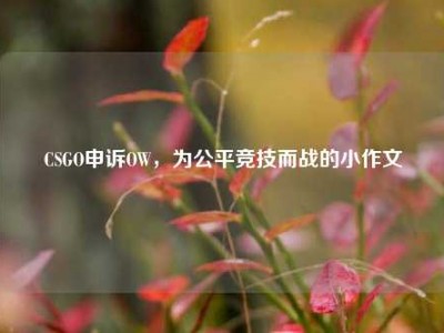 CSGO申诉OW，为公平竞技而战的小作文
