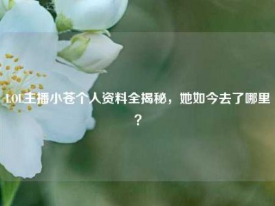 LOL主播小苍个人资料全揭秘，她如今去了哪里？