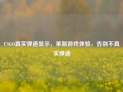 CSGO真实弹道显示，革新游戏体验，告别不真实弹道