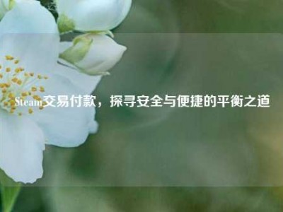 Steam交易付款，探寻安全与便捷的平衡之道
