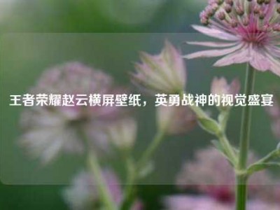 王者荣耀赵云横屏壁纸，英勇战神的视觉盛宴