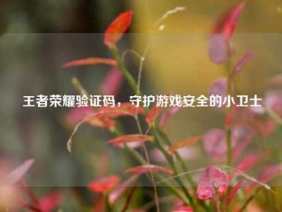 王者荣耀验证码，守护游戏安全的小卫士