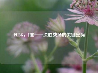 PUBG，J键——决胜战场的关键密码