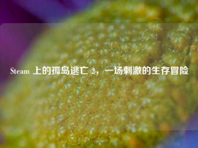 Steam 上的孤岛逃亡 2，一场刺激的生存冒险