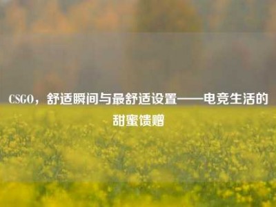 CSGO，舒适瞬间与最舒适设置——电竞生活的甜蜜馈赠