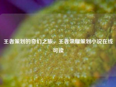 王者策划的奇幻之旅，王者荣耀策划小说在线可读