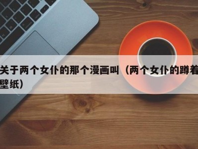 关于两个女仆的那个漫画叫（两个女仆的蹲着壁纸）