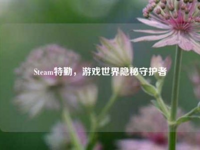 Steam特勤，游戏世界隐秘守护者