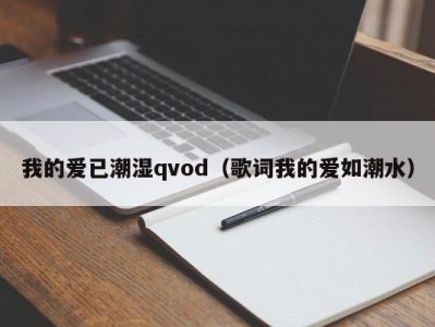 我的爱已潮湿qvod（歌词我的爱如潮水）