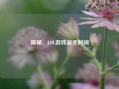 揭秘，LOL游戏诞生时间