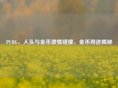 PUBG，人头与金币激情碰撞，金币用途揭秘