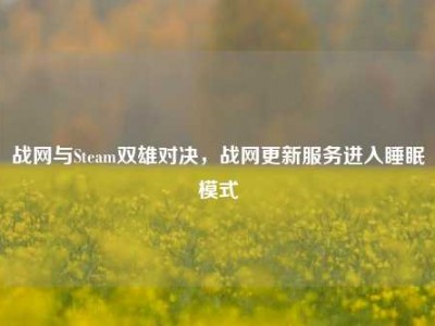 战网与Steam双雄对决，战网更新服务进入睡眠模式