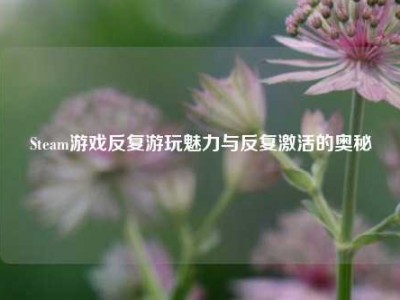 Steam游戏反复游玩魅力与反复激活的奥秘