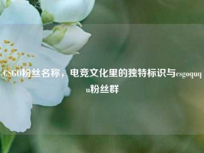 CSGO粉丝名称，电竞文化里的独特标识与csgoququ粉丝群