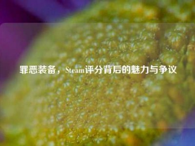 罪恶装备，Steam评分背后的魅力与争议