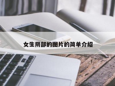 女生阴部的图片的简单介绍