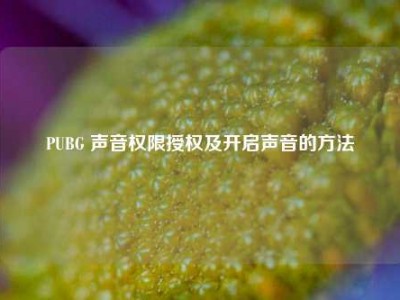 PUBG 声音权限授权及开启声音的     