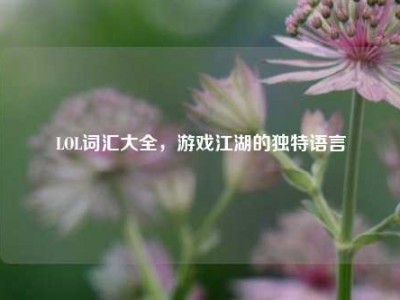 LOL词汇大全，游戏江湖的独特语言