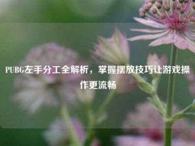 PUBG左手分工全解析，掌握摆放技巧让游戏操作更流畅