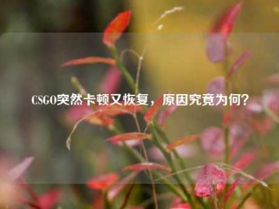 CSGO突然卡顿又恢复，原因究竟为何？