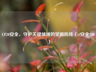 CF20安全，守护关键领域的坚固防线（cf安全230）