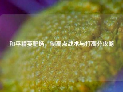 和平精英靶场，制高点战术与打高分攻略